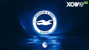 Những thông tin tổng quan về câu lạc bộ Brighton